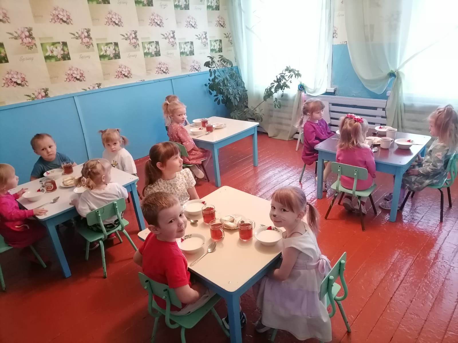 Контроль родительской общественности за организацией питания детей.